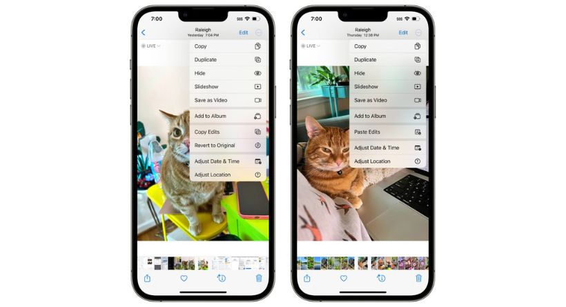 Everything New in the iOS 16 Photos and Camera Apps-3